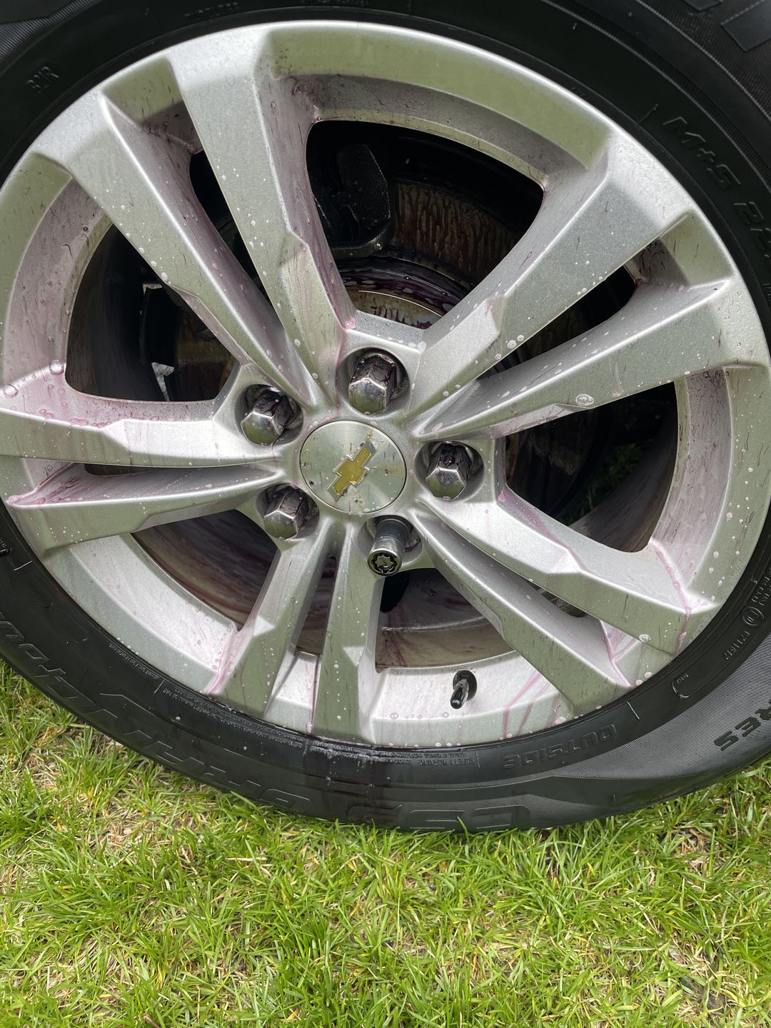 Customer photo review of Iron Remover