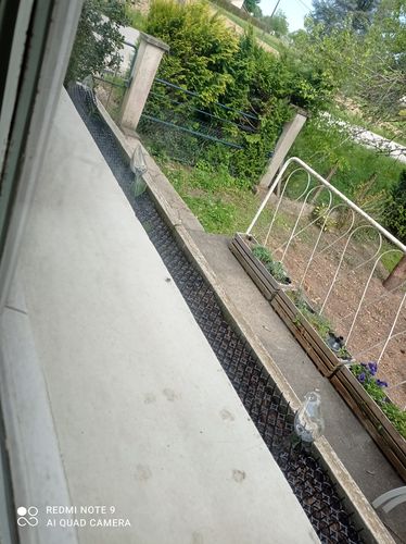 Customer photo review of Mon petit oiseau - Le Jardin de Mamie®