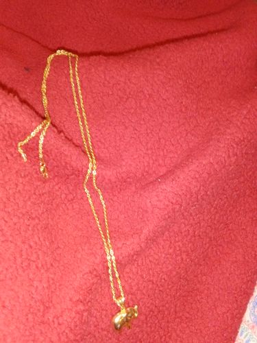 Customer photo review of (2X1) 14K Elephant with Rope by GD *FREE KIDS CHAIN*