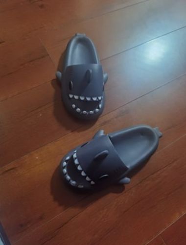 Customer photo review of Shark Slippers 2.0