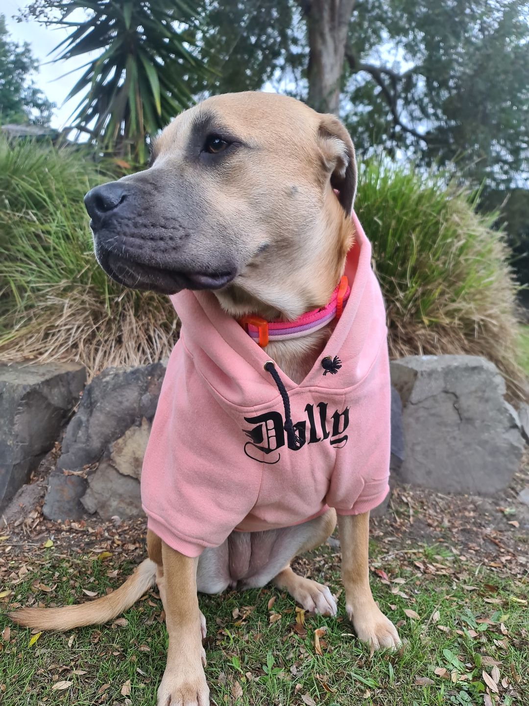 Customer photo review of Gangsta Yapper Dog Hoodie - Personalised