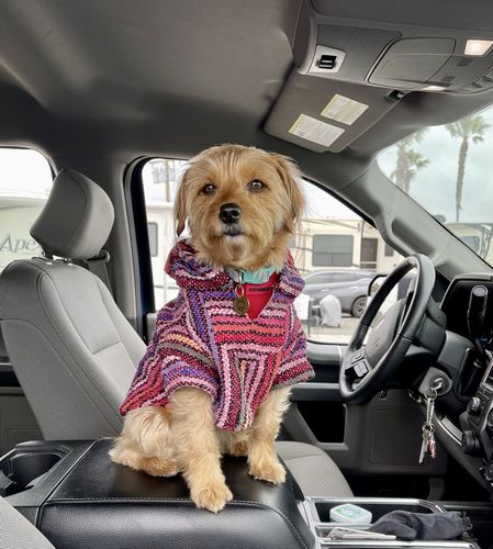 Customer photo review of Playa Poncho