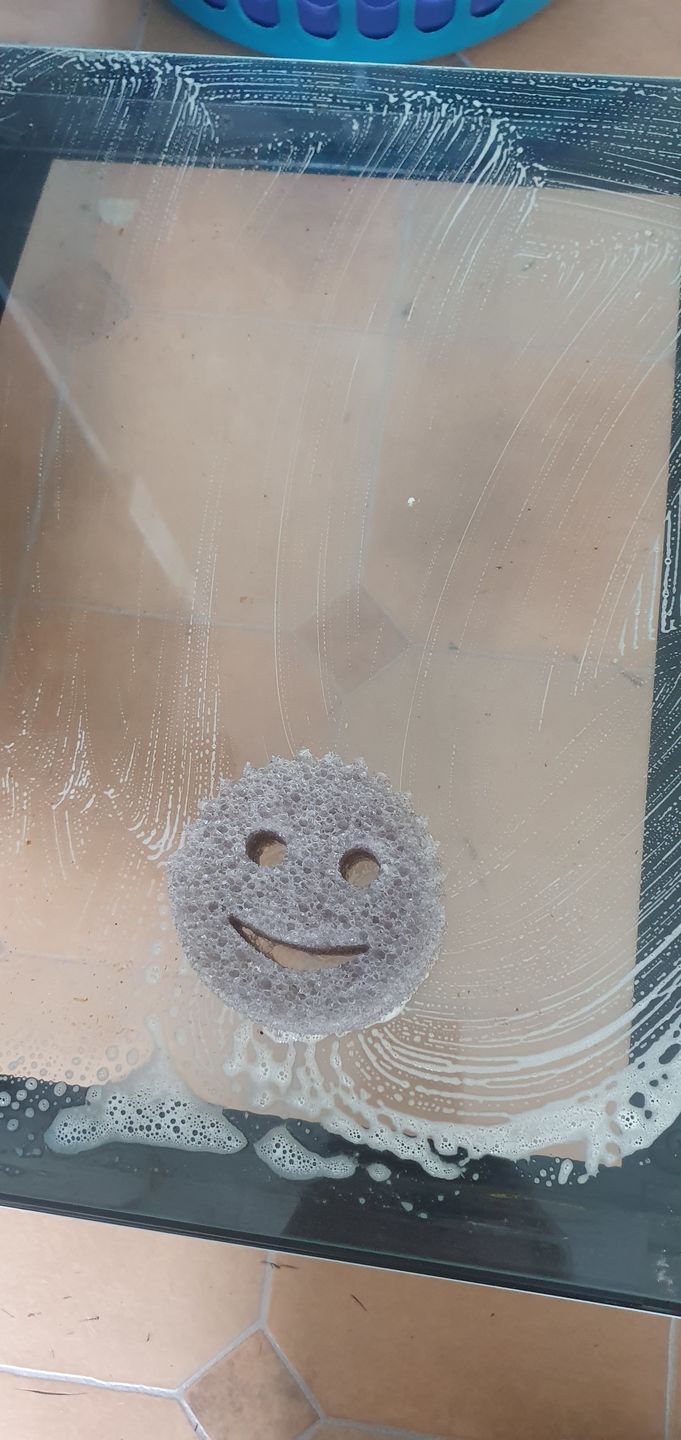 Customer photo review of Scrub Daddy 3 Pack