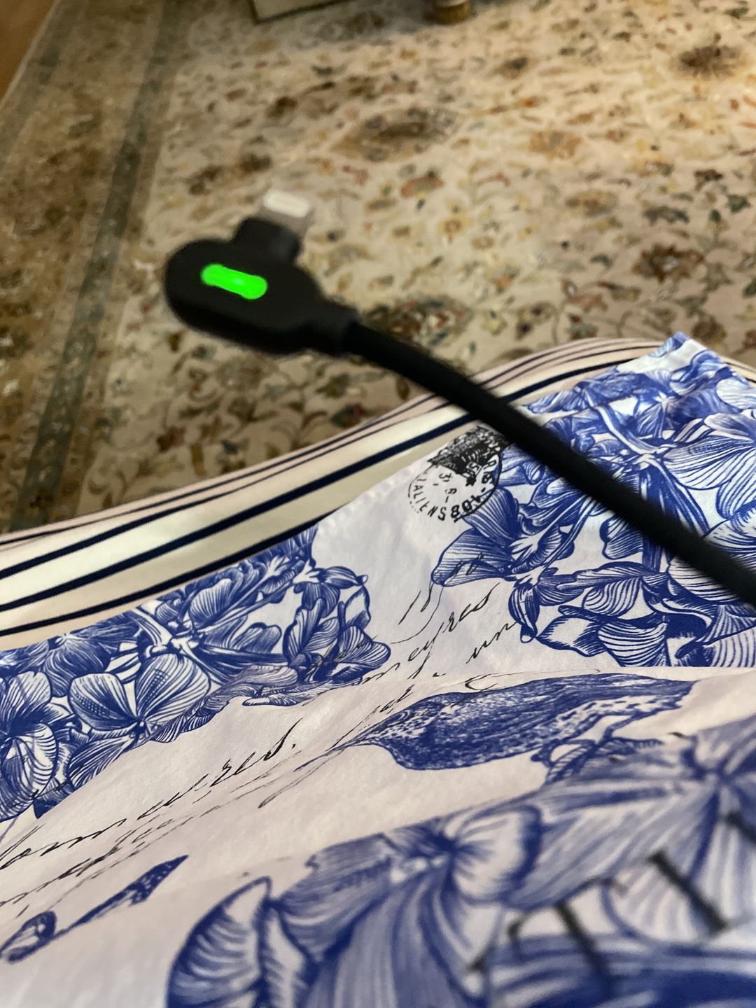 Customer photo review of The Titan Smart Cable™