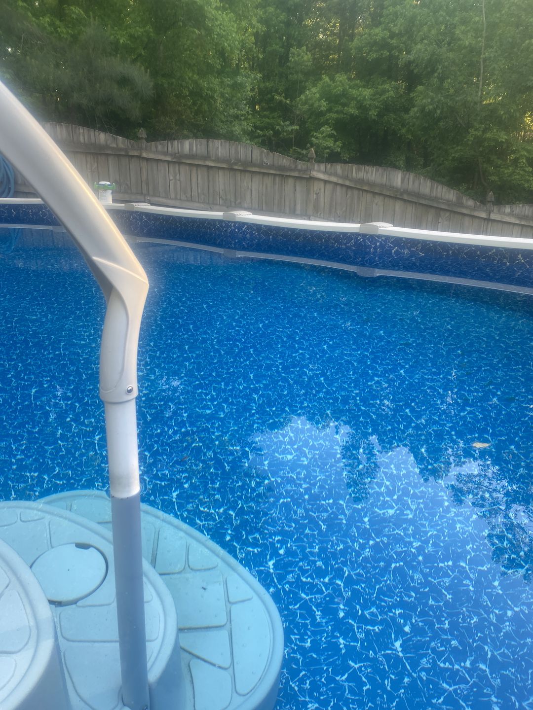 Customer photo review of Frog Leap Wake-Up or Hibernation Kit
