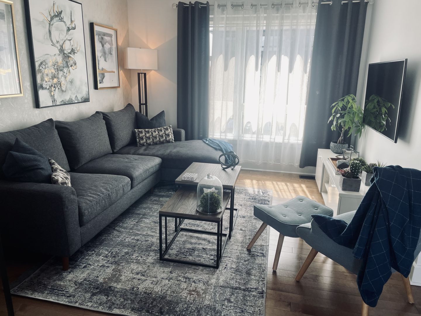 Customer photo review of Abstract Border Echo Blue Grey Rug