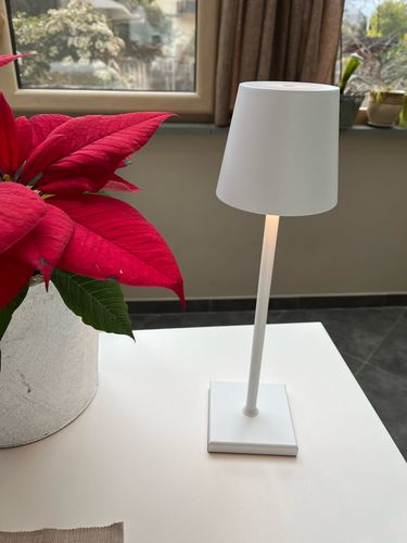 Customer photo review of SARFATTI: Italian Designer Lamp