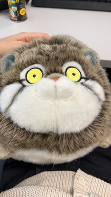 Customer photo review of Chubby Pallas's cat Stuffed Animal Plush