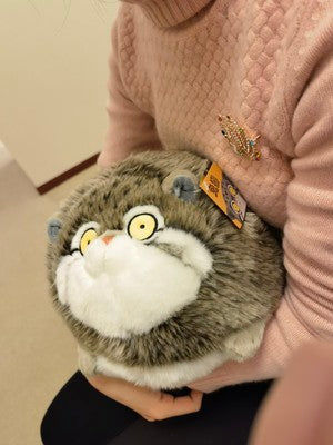 Customer photo review of Chubby Pallas's cat Stuffed Animal Plush