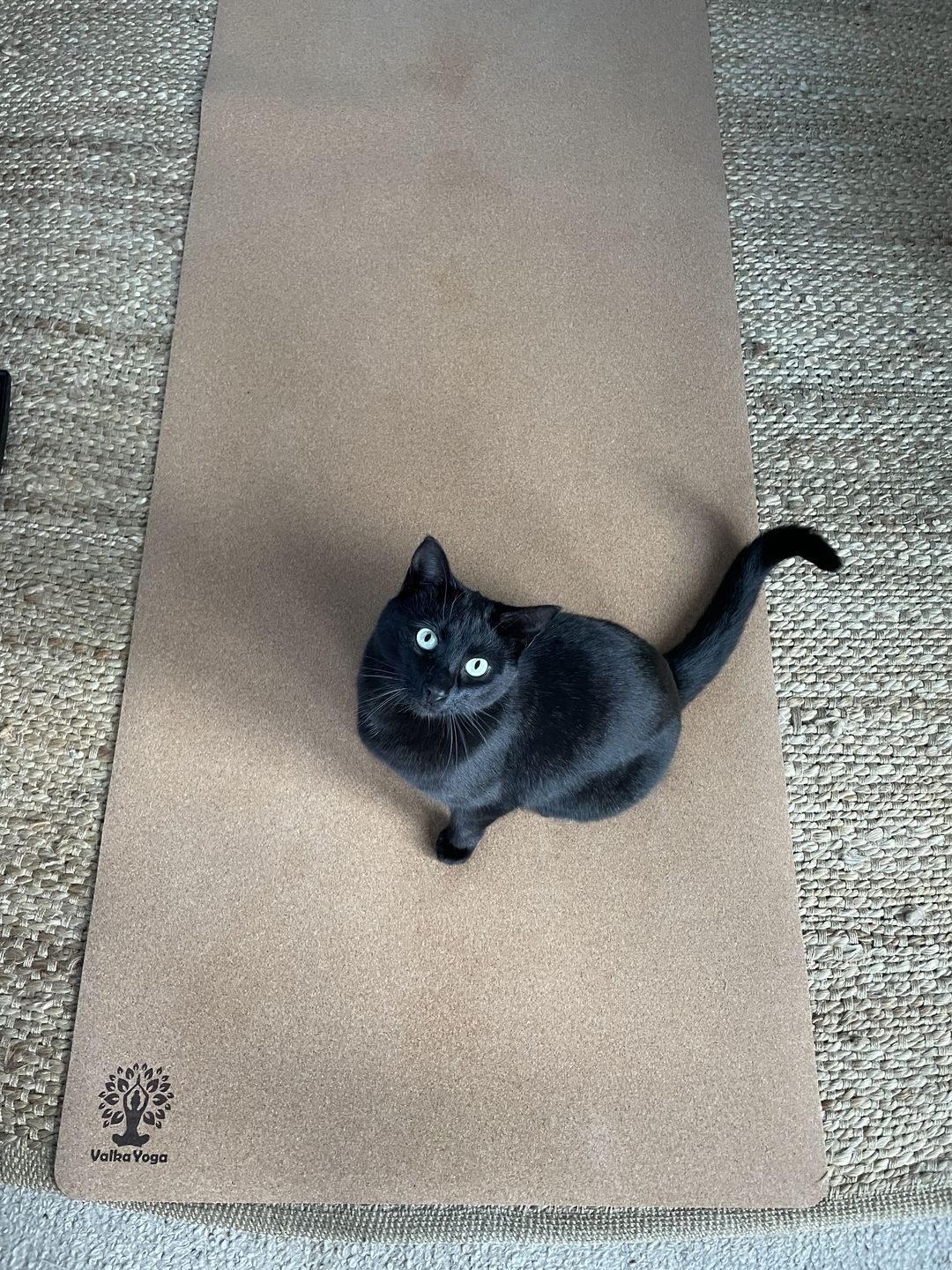 Customer photo review of Grand Yoga Mat