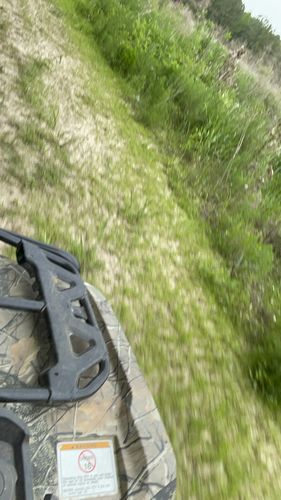 Customer photo review of Pig Brig Trap System