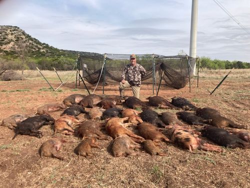 Customer photo review of Pig Brig Trap System