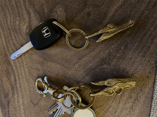 Customer photo review of Brass T-REX Clip