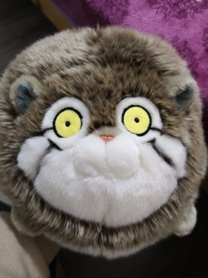 Customer photo review of Chubby Pallas's cat Stuffed Animal Plush
