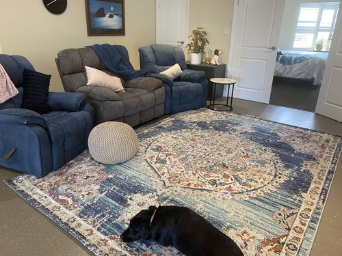Customer photo review of Hollow Medalion Transitional Navy Multi Rug