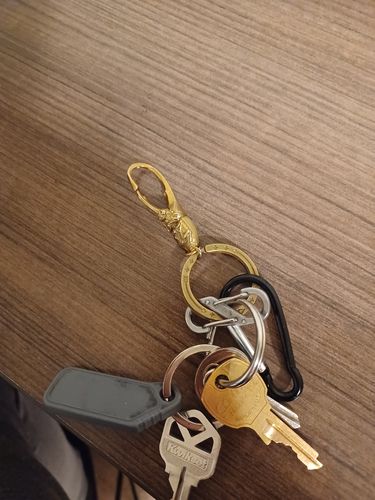 Customer photo review of Beetle Keychain | Brass