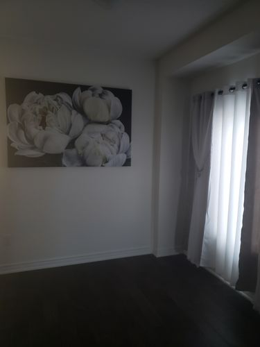 Customer photo review of 'White Peonies' Framed Canvas