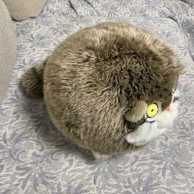 Customer photo review of Chubby Pallas's cat Stuffed Animal Plush