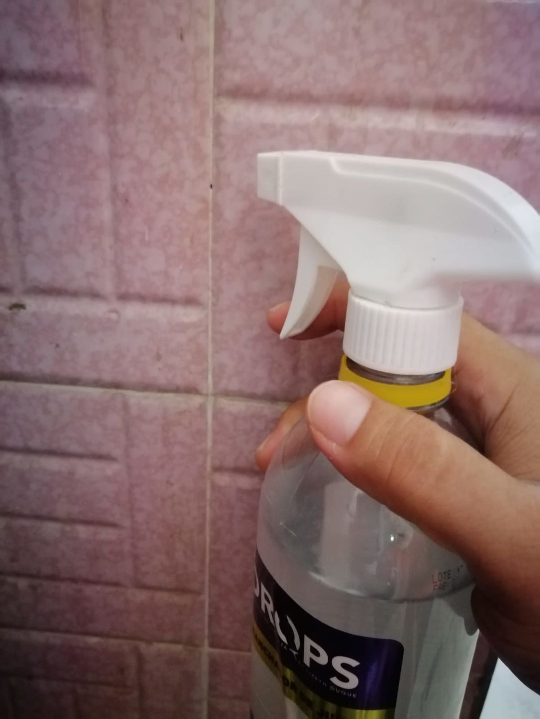 Customer photo review of Desmanchador de Boquilla 1000 ml