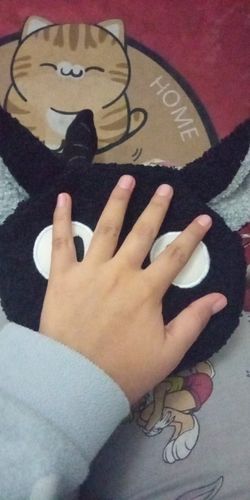 Customer photo review of Kawaii Kiki's Delivery Service Jiji Crossbody Bag