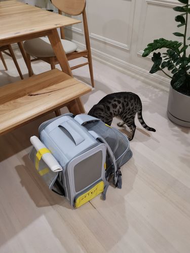 Customer photo review of PETKIT  Breezy X  ZONE Pet  Carrier -  Grey &  Yellow