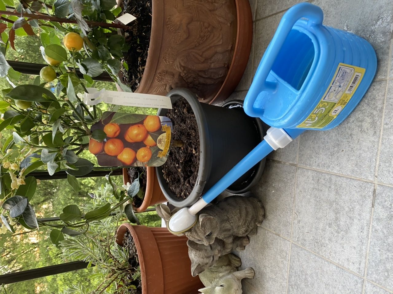 Customer photo review of ANNAFFIATOIO PROFESSIONALE PIOGGIA FINE BONSAI CB 2L