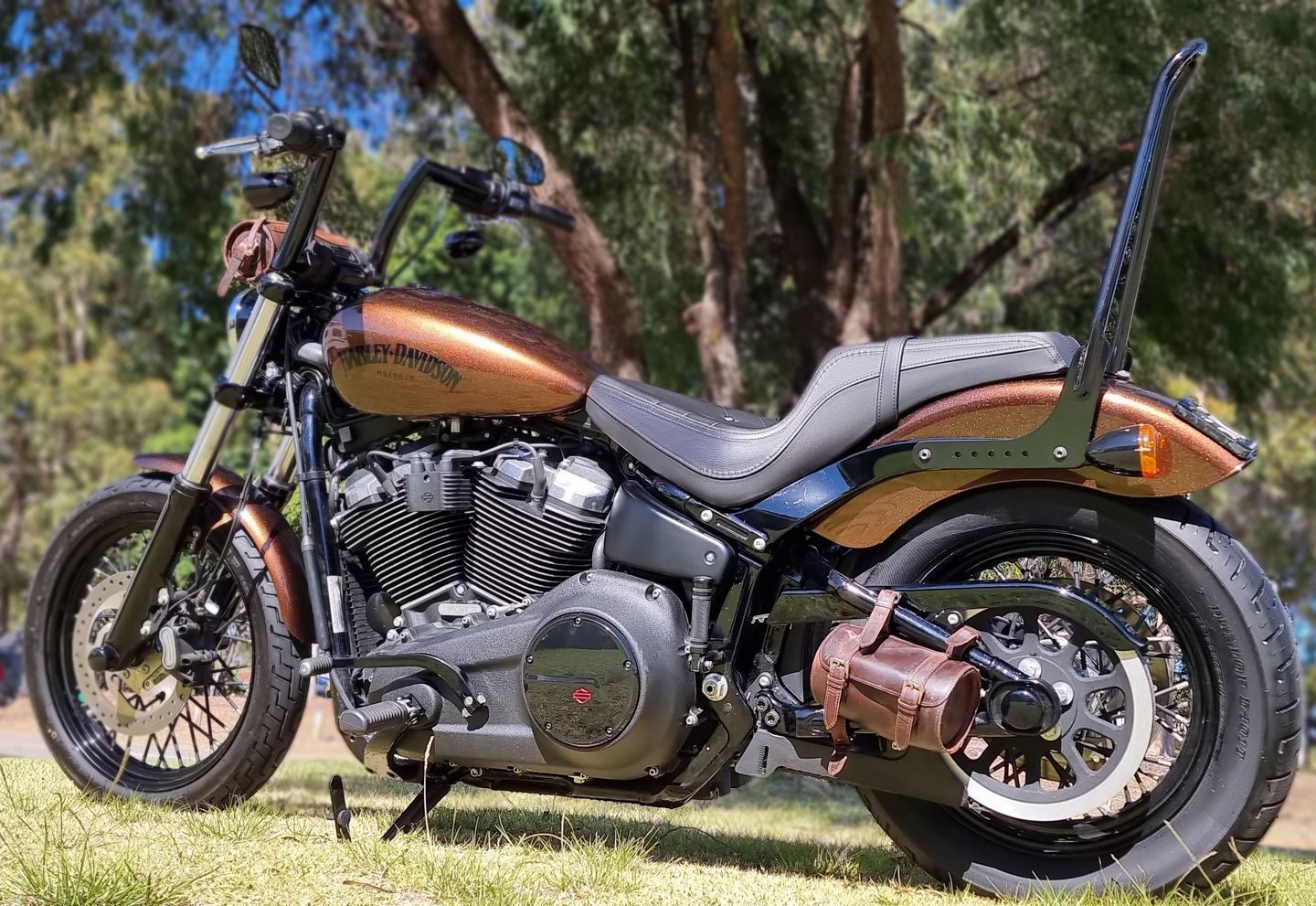Customer photo review of Buffalo Leather Small Motorbike Side Pouch
