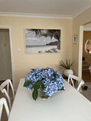 Customer photo review of Sitting Beneath the Palms