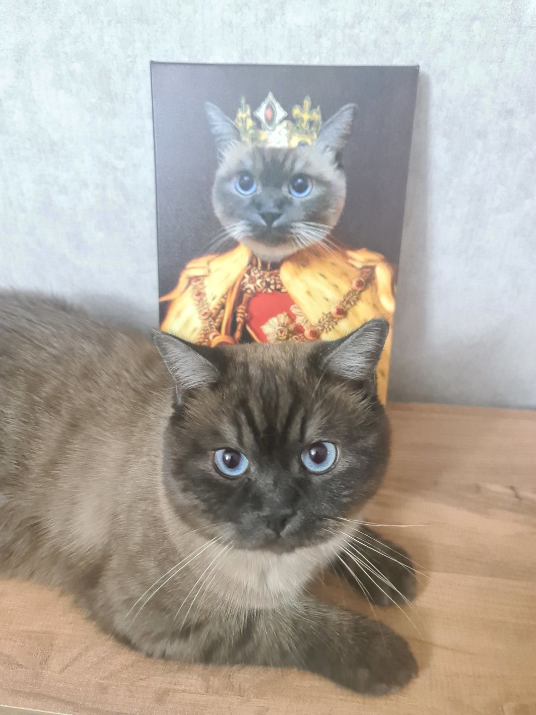 Customer photo review of The King of the Seven Kingdoms