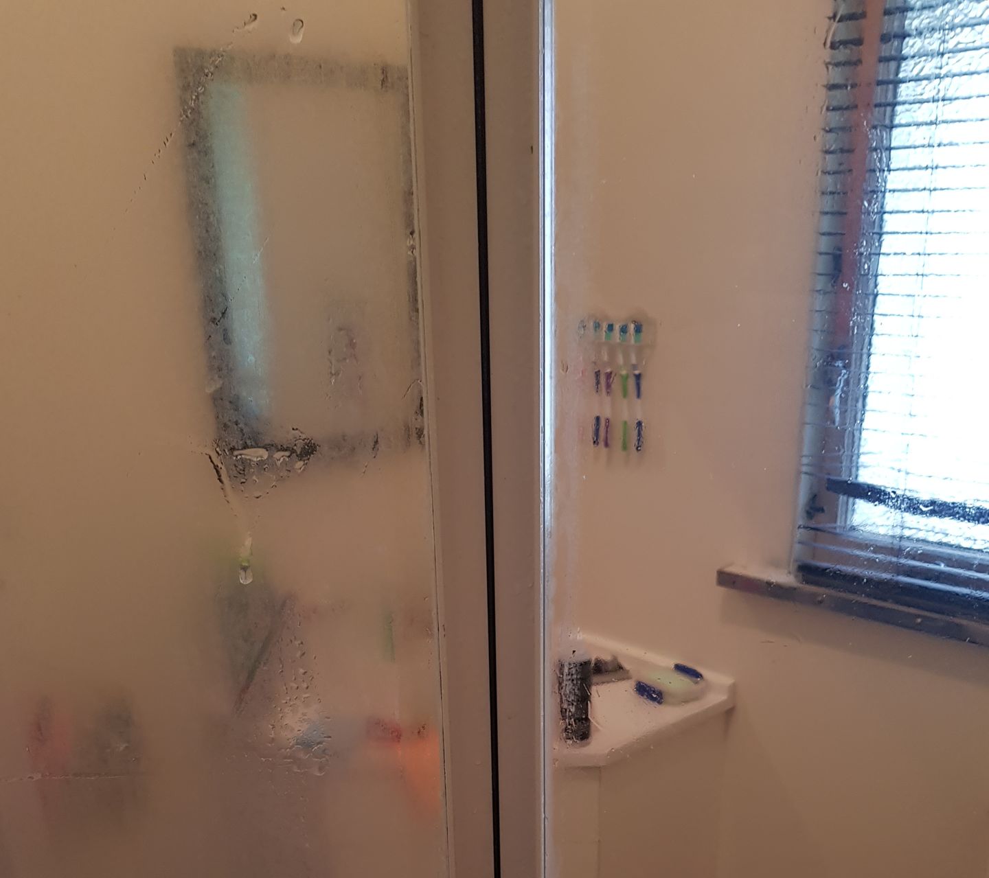 Customer photo review of Shower Cleaning & Protection Kit