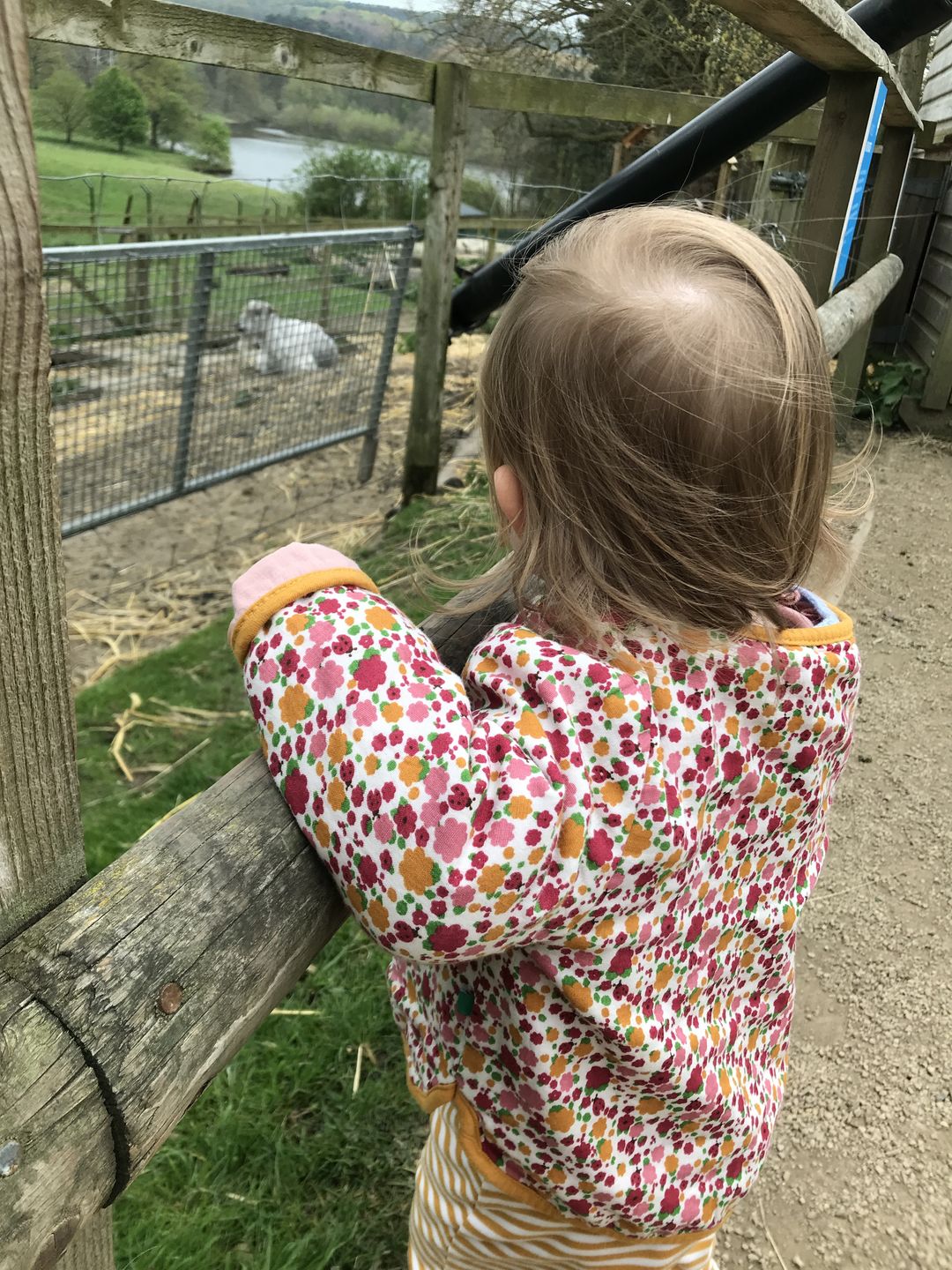 Customer photo review of Ladybird Days Reversible Spring Jacket
