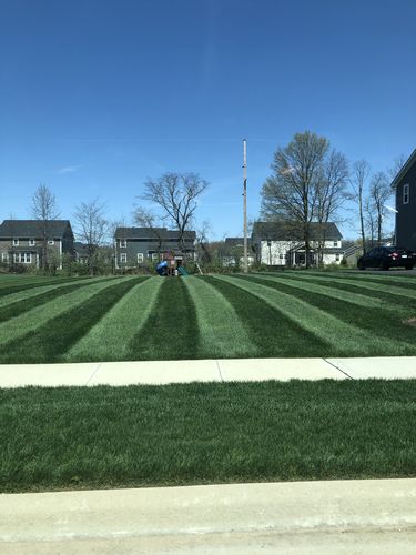 Customer photo review of Protene Performance Spring Fertilizer