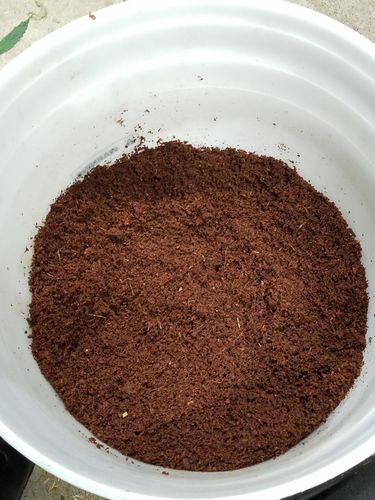 Customer photo review of Roots Organics Compressed Coco Fiber 12x12 Inch