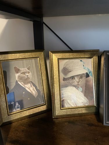 Customer photo review of The Victorian Explorer - Custom Vintage Pet Portrait