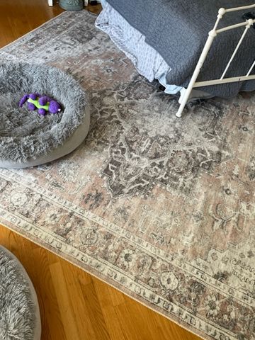 Customer photo review of Distressed Vintage Cezanne Blush Area Rug