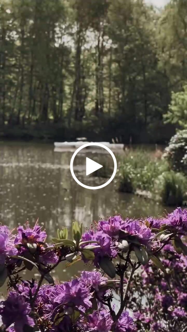 Customer video review of GOLDEN HOUR VIDEO LUTS (MOBILE & DESKTOP)