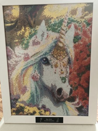 Customer photo review of 5D Diamond Painting Einhorn in Blumen