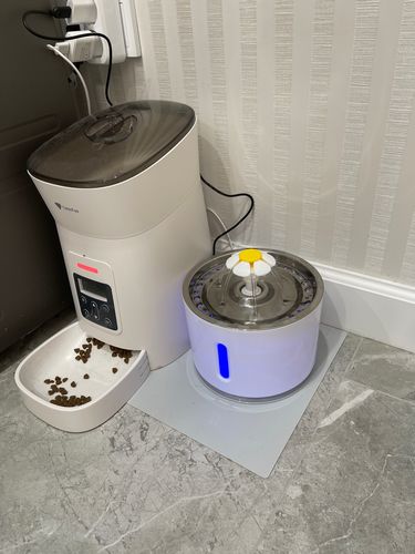 Customer photo review of Cat Flower Fountain