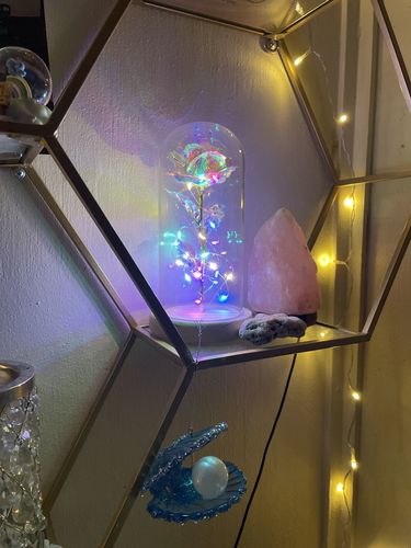 Customer photo review of Galaxy Rose