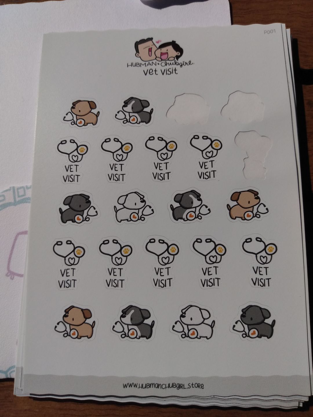 Customer photo review of Vet Visit Planner Stickers