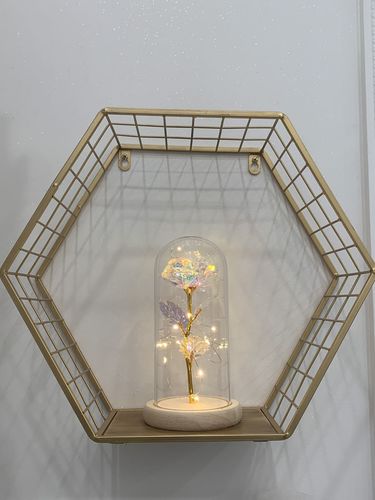 Customer photo review of Galaxy Rose