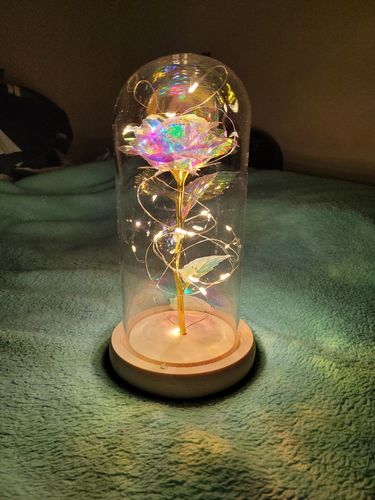 Customer photo review of Galaxy Rose