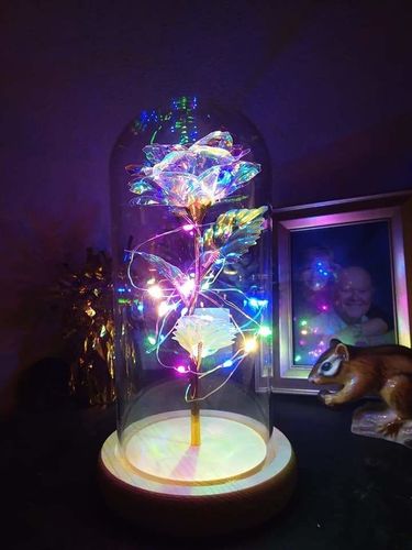 Customer photo review of Galaxy Rose