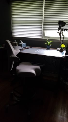 Customer photo review of Capisco