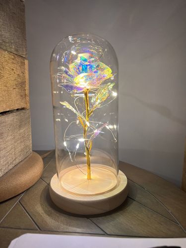 Customer photo review of Galaxy Rose