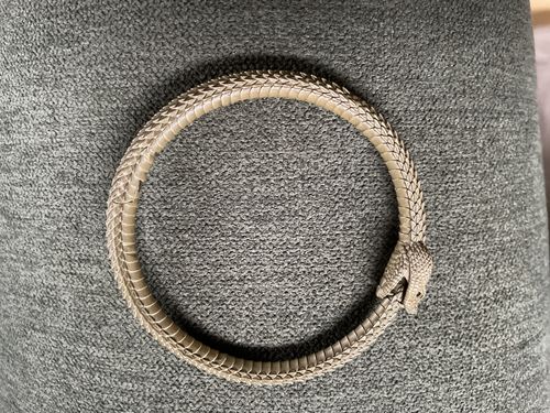 Customer photo review of Brass Ouroboros Bracelet