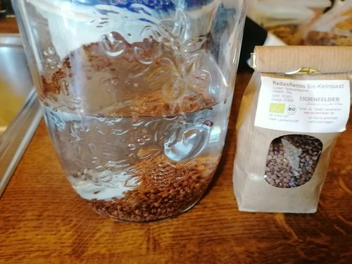 Customer photo review of ESCHENFELDER Bio-Keimsaat RADIES RAMBO (125g)