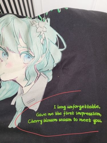 Customer photo review of Harajuku Style "ENDAROUND" Anime Girl Tee