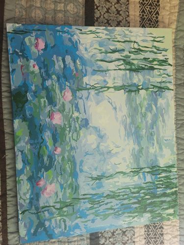 Customer photo review of Water Lilies, Nympheas (1916) - Paint by Numbers