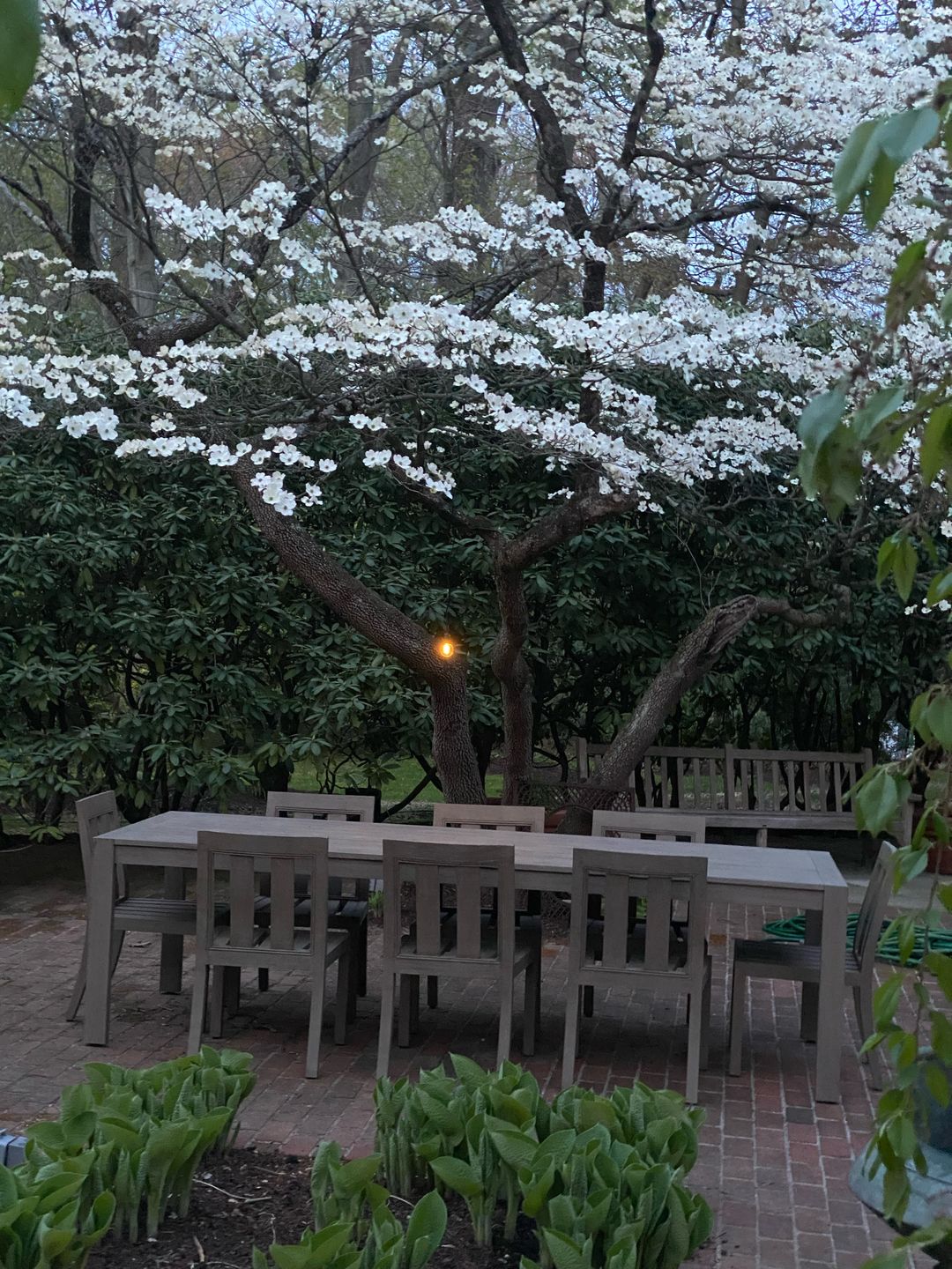 Customer photo review of 25FT Black Weatherproof Outdoor Pendant Light Lamp Cord Kit, E12 C7 Base